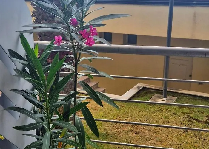 Di Margherita Bianca Albenga