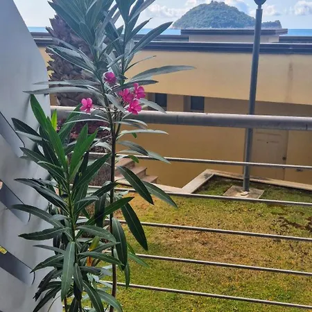 Di Margherita Bianca Albenga